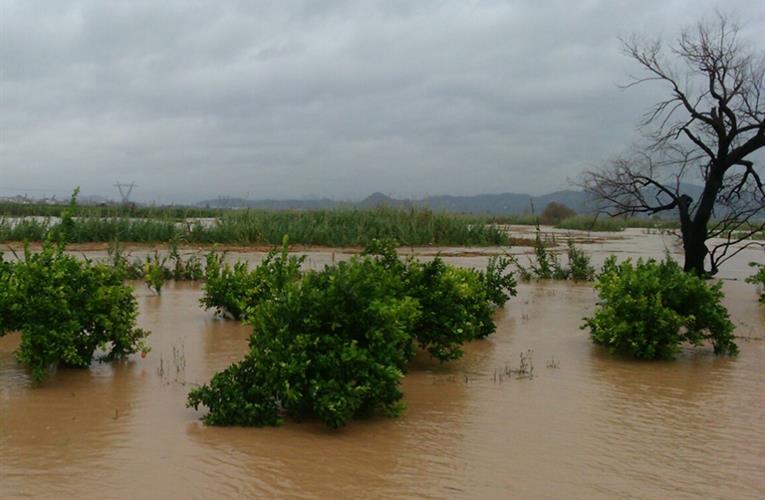 Tomato field in Spain hit with torrential rain and floods