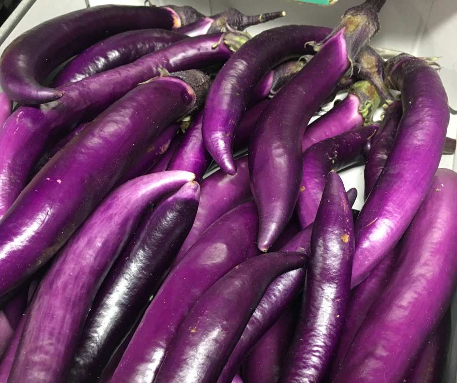 long purple aubergines