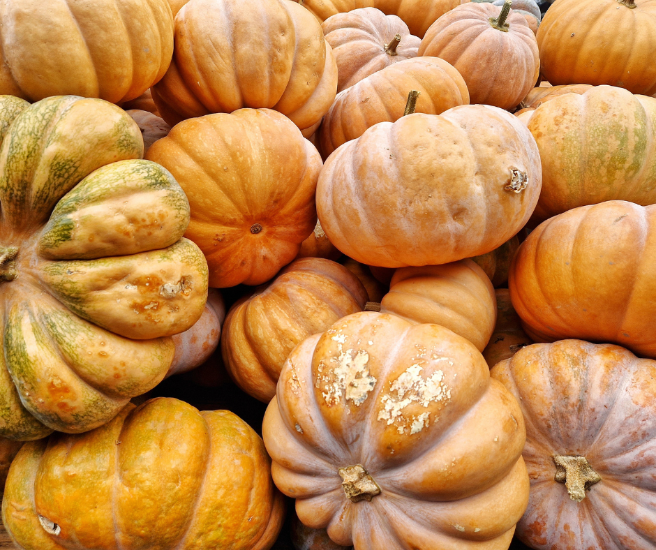 pumpkin