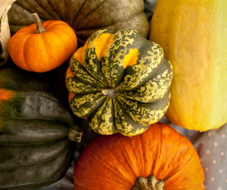 mixed squash box